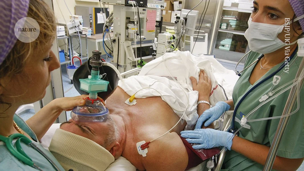 Under anesthesia, the brain learns and predicts upcoming words