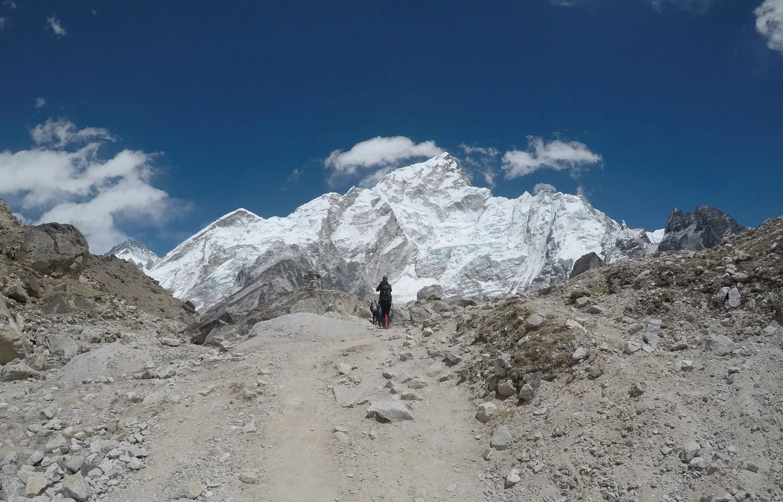 Sea-floor to Summit: Fossils in Everest’s Peak Limestone Reframe Its Rise