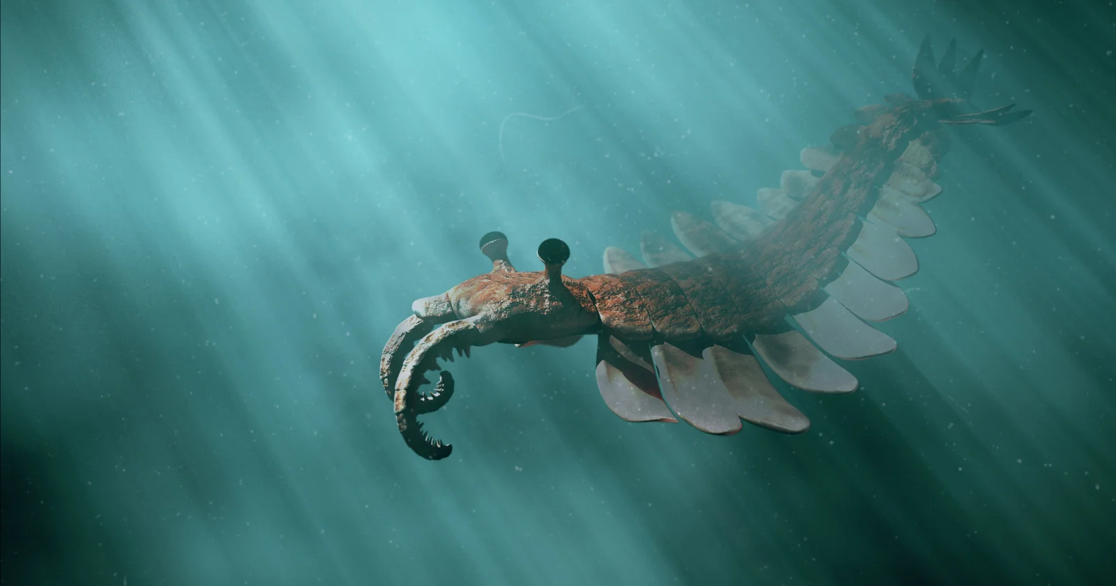Deep-Sea Origins Reframe Early Animal Evolution with New Canadian Fossils