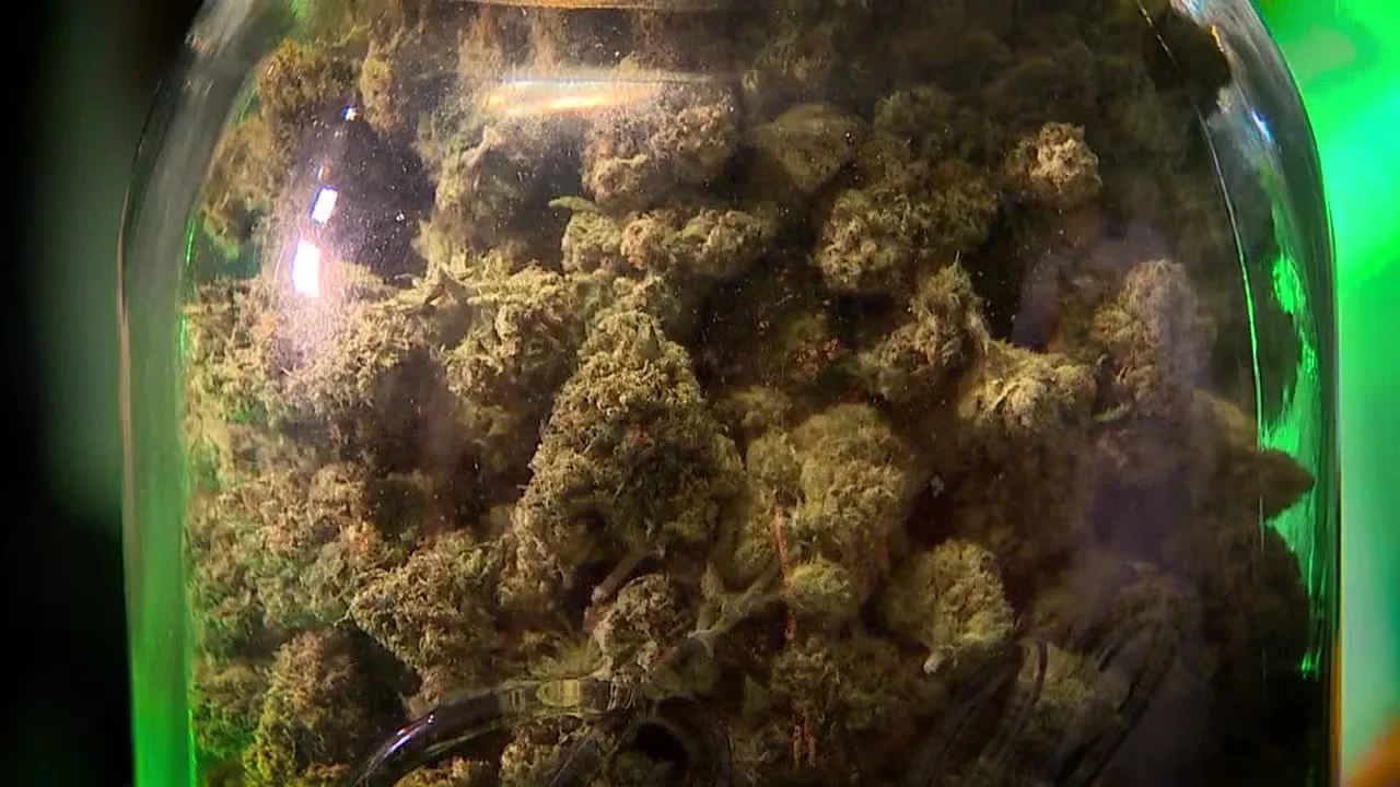 Minnesota House approves legal cannabis bill, awaits Senate decision.
