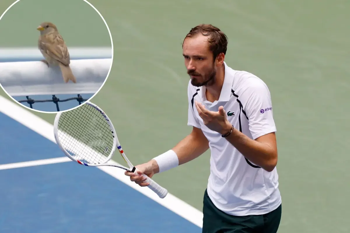Birds on the net stall Medvedev in wild US Open rally