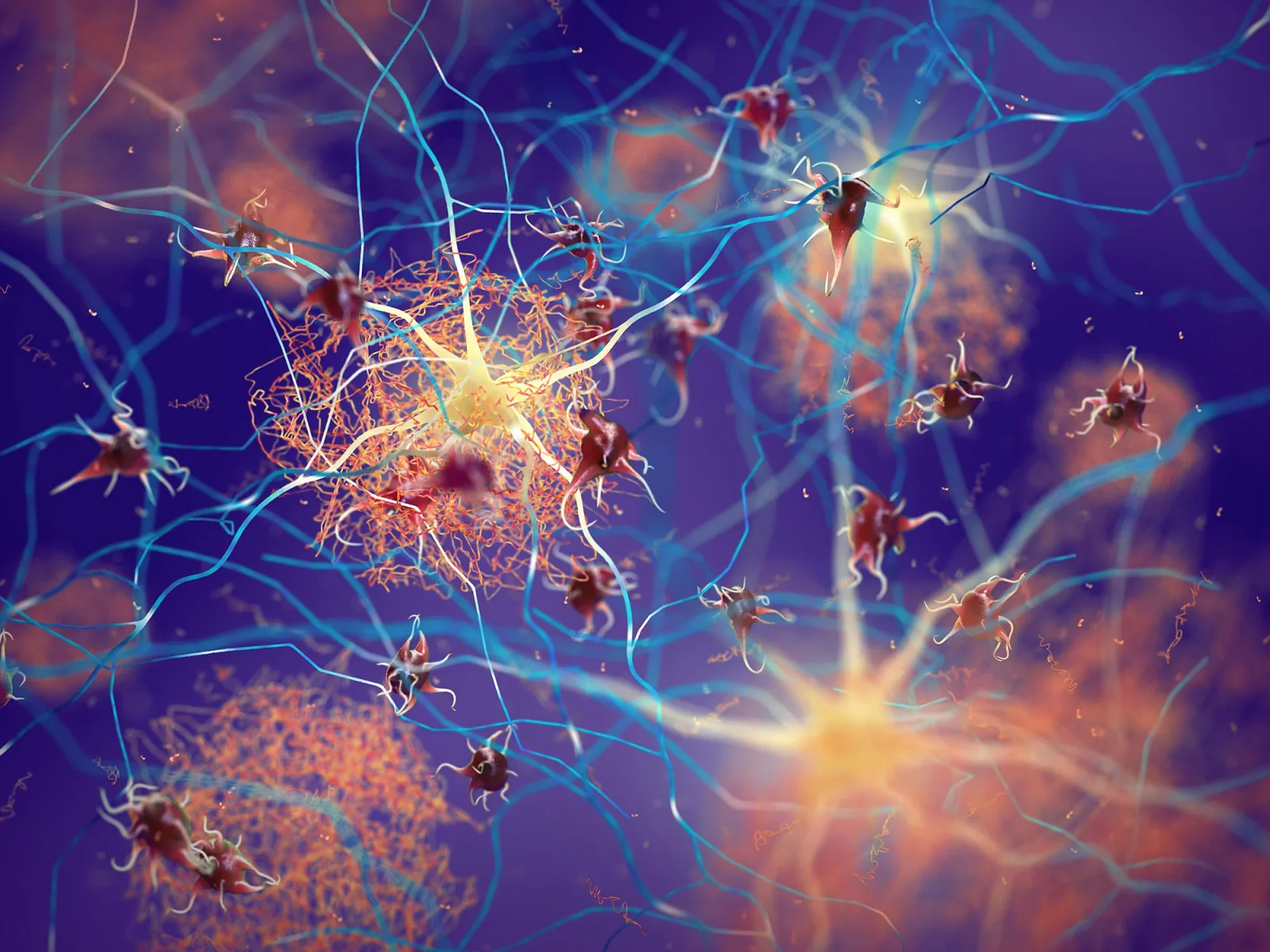 L-Arginine Stabilizes Protein Droplets to Halt Alzheimer’s Fibril Formation