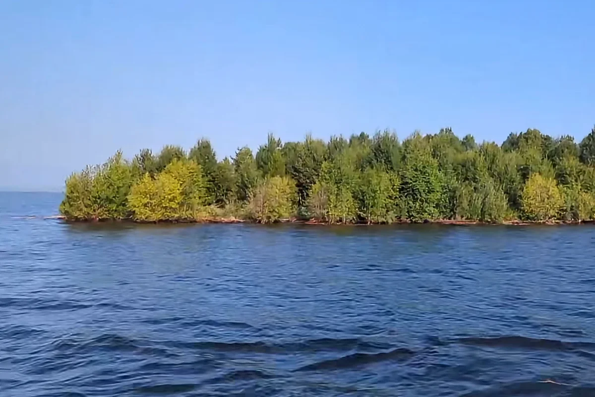Mysterious Forest Island Emerges, Vanishes, Then Reappears on BC's Williston Lake