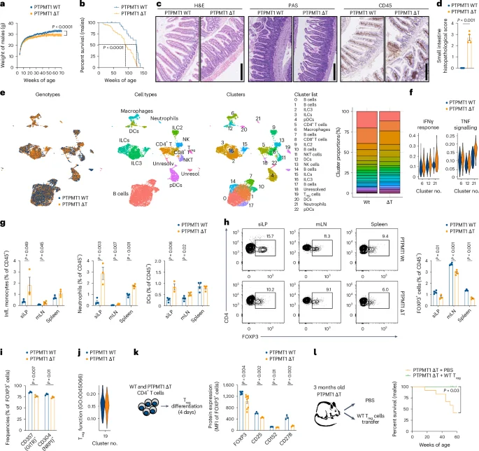 Cardiolipin deficiency in T cells disrupts gut tolerance through an ISR-driven Treg failure