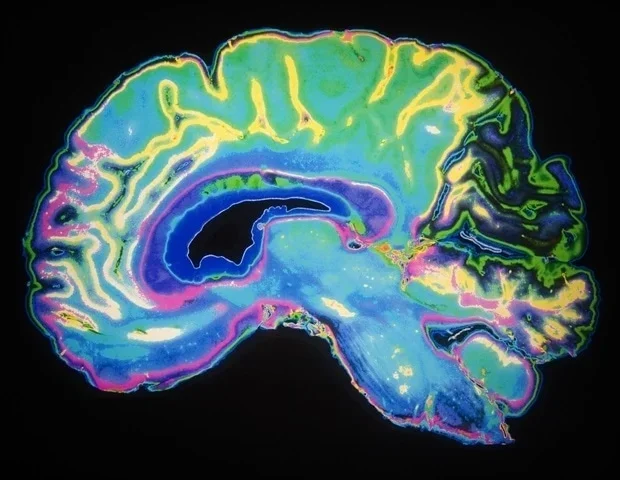 Focused Attention Dims Inflammation in Healthy Volunteers, Bar-Ilan Study Finds