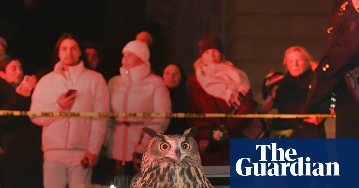 Flaco the Owl's Wild Year in New York Becomes a Documentary