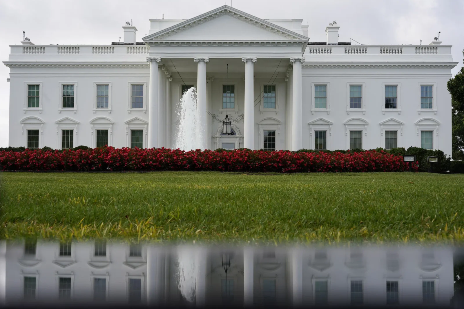 2024 Presidential Candidates: A Comprehensive Rundown.