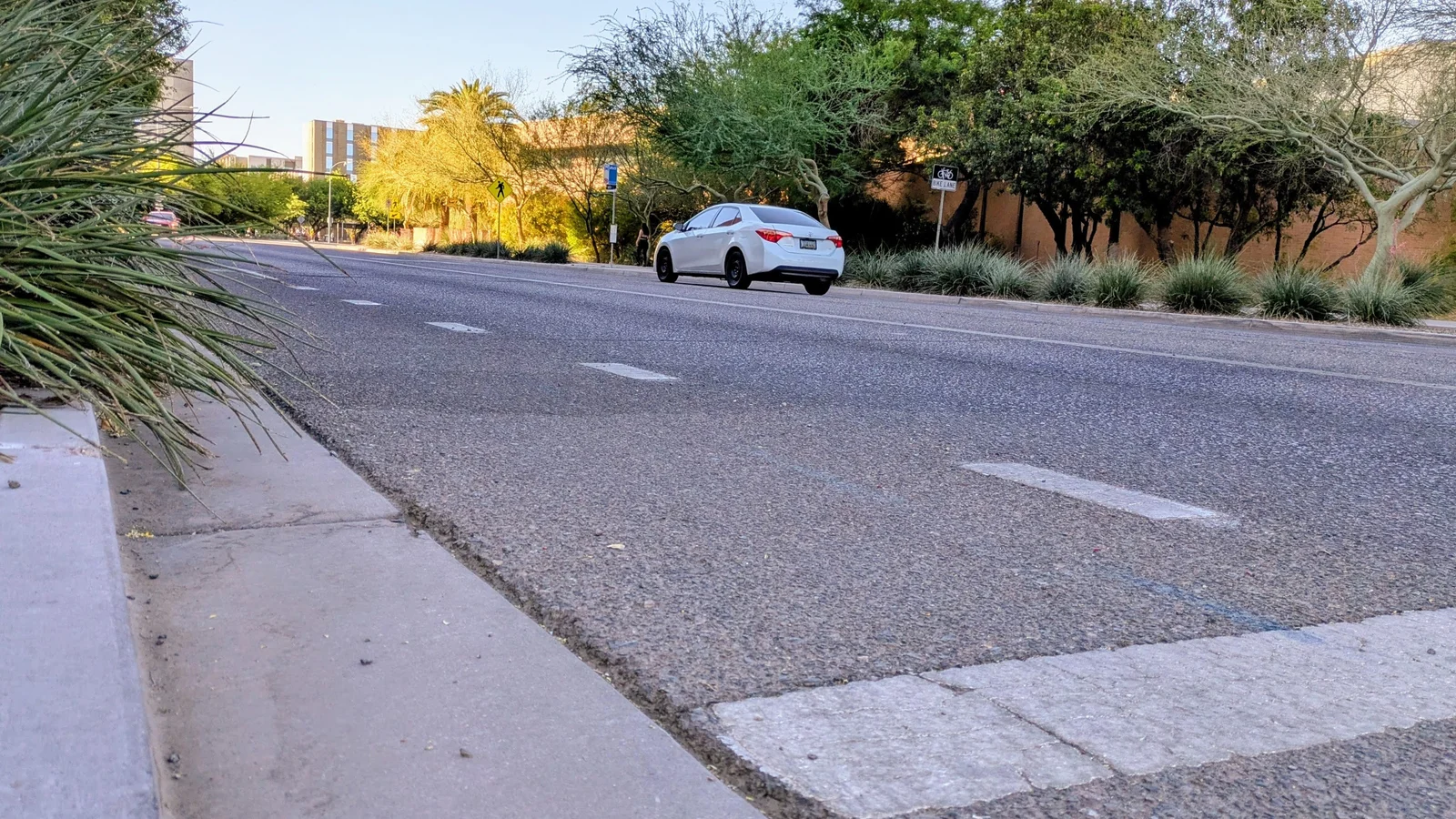 Algae-Infused Asphalt Promises Cleaner City Roads