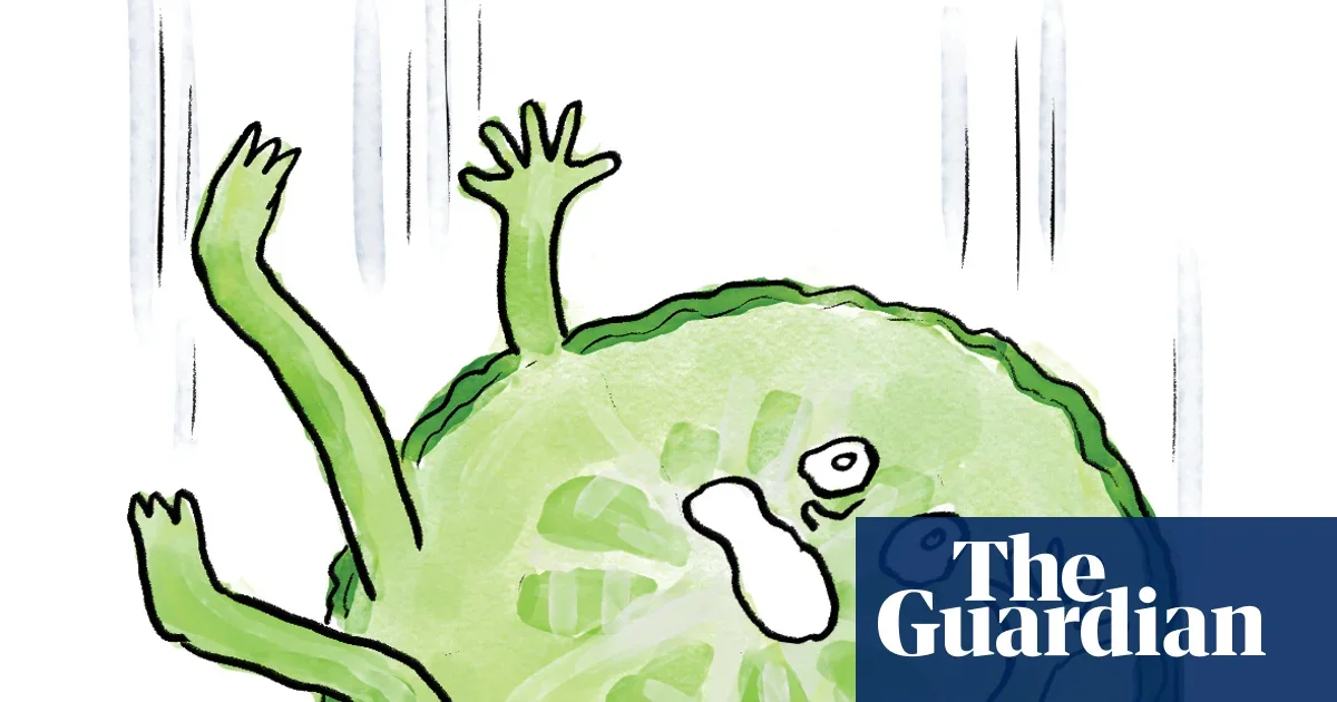 Five-Second Rule Debunked: Bacteria Transfer Almost Instantly