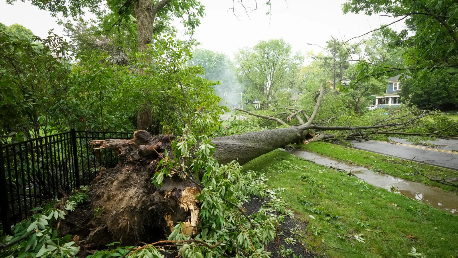 Midwest Derecho Roars from Iowa to Kentucky, Sparking Outages and Emergencies