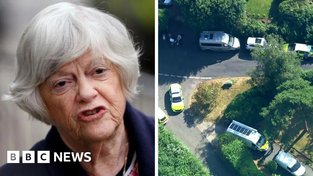 Suspect Arrested in Murder Probe Over Ann Widdecombe's Death in Devon
