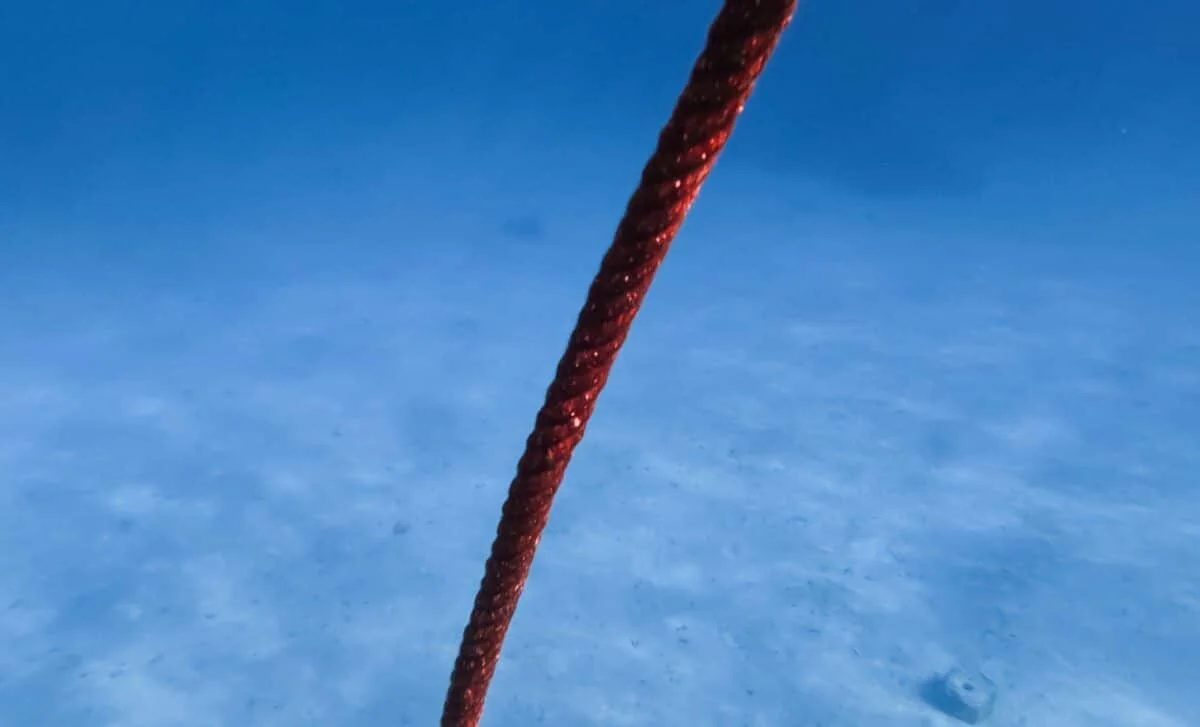 Ten-kilometer fiber-optic cable reveals 56,000 glacier calving events beneath Greenland’s fjords