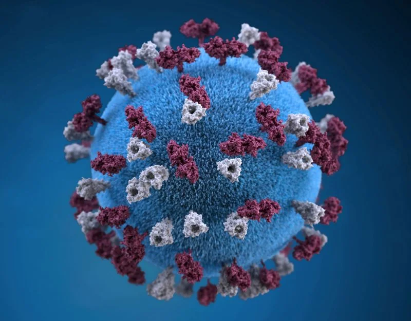 Bangladesh measles toll tops 500 amid ongoing outbreak