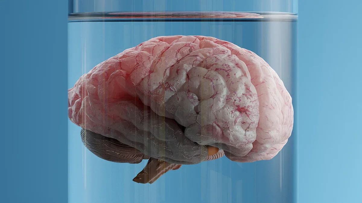 Consciousness as Reality's Fabric: A Neuroscientist's Radical Shift