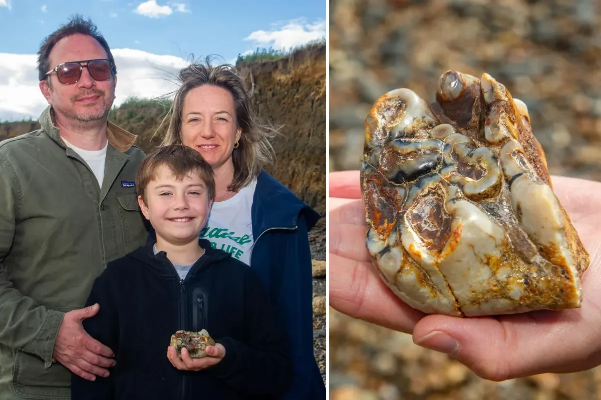 UK boy uncovers 1.8-million-year-old elephant tooth on Suffolk coast