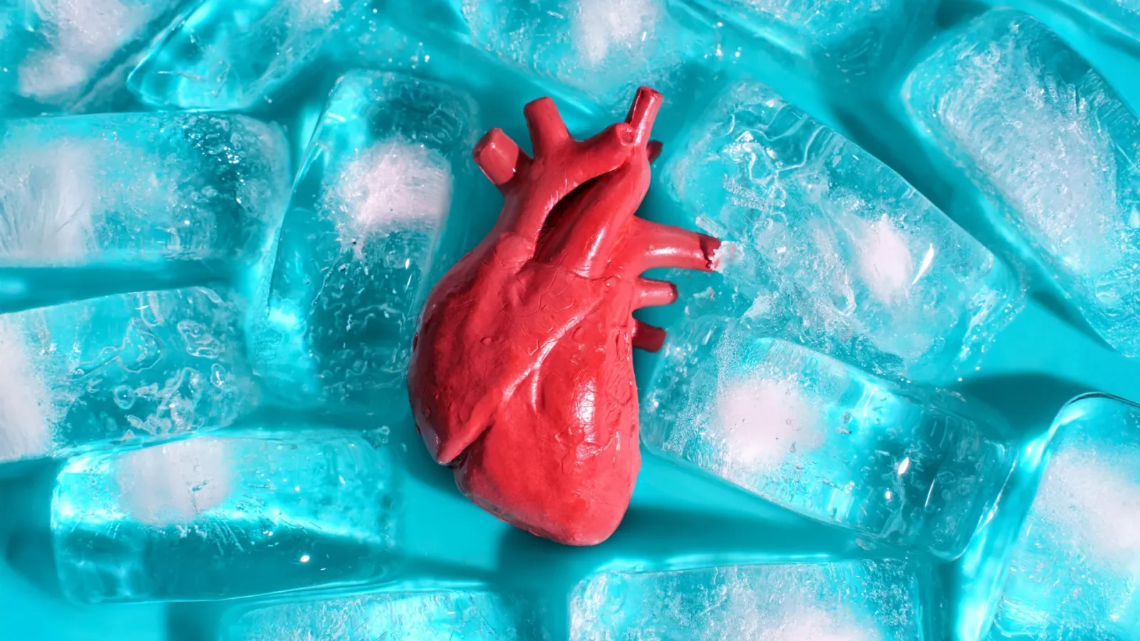 Crack-Free Freezing Brings On-Demand Organs Closer