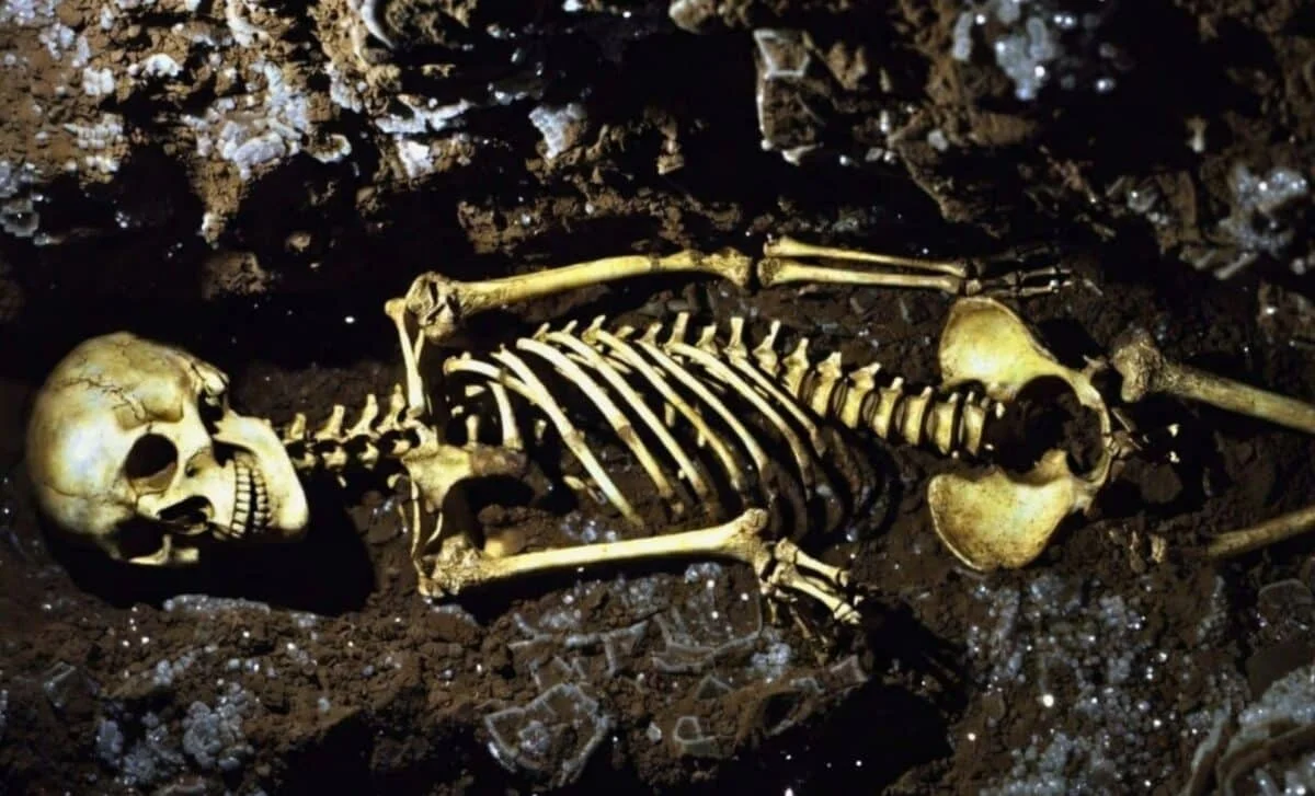 4,500-Year-Old Skeleton Bridges North Africa and Mesopotamia in a Single Genome