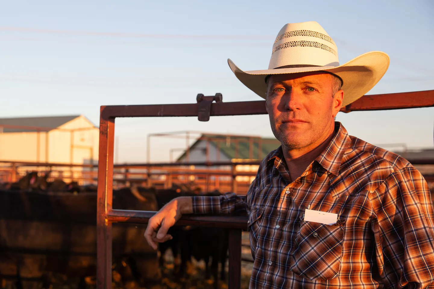Imported beef tests ranchers' loyalty to Trump
