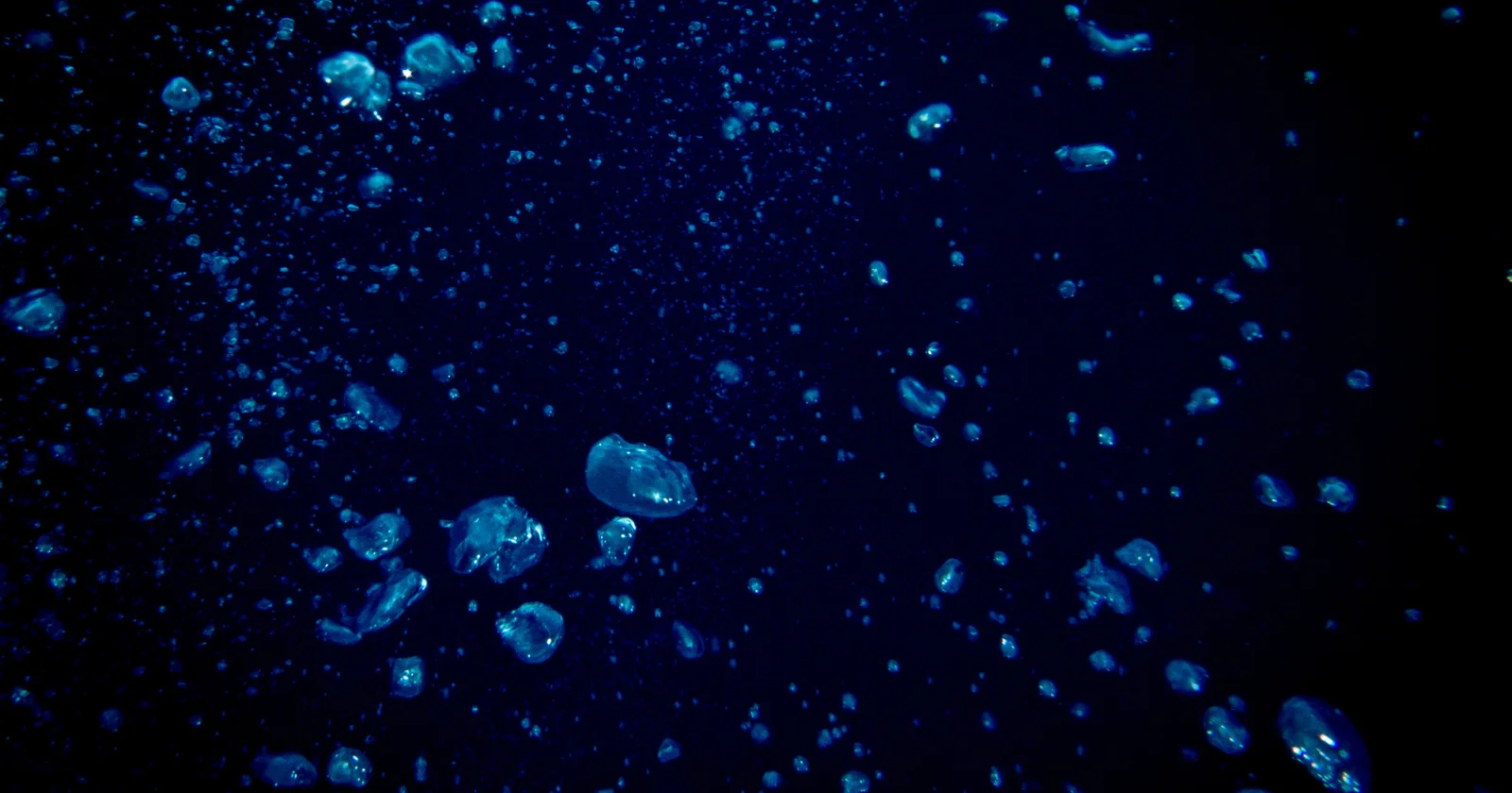 Only a sliver of Earth's deep ocean has ever been seen by humans, study finds