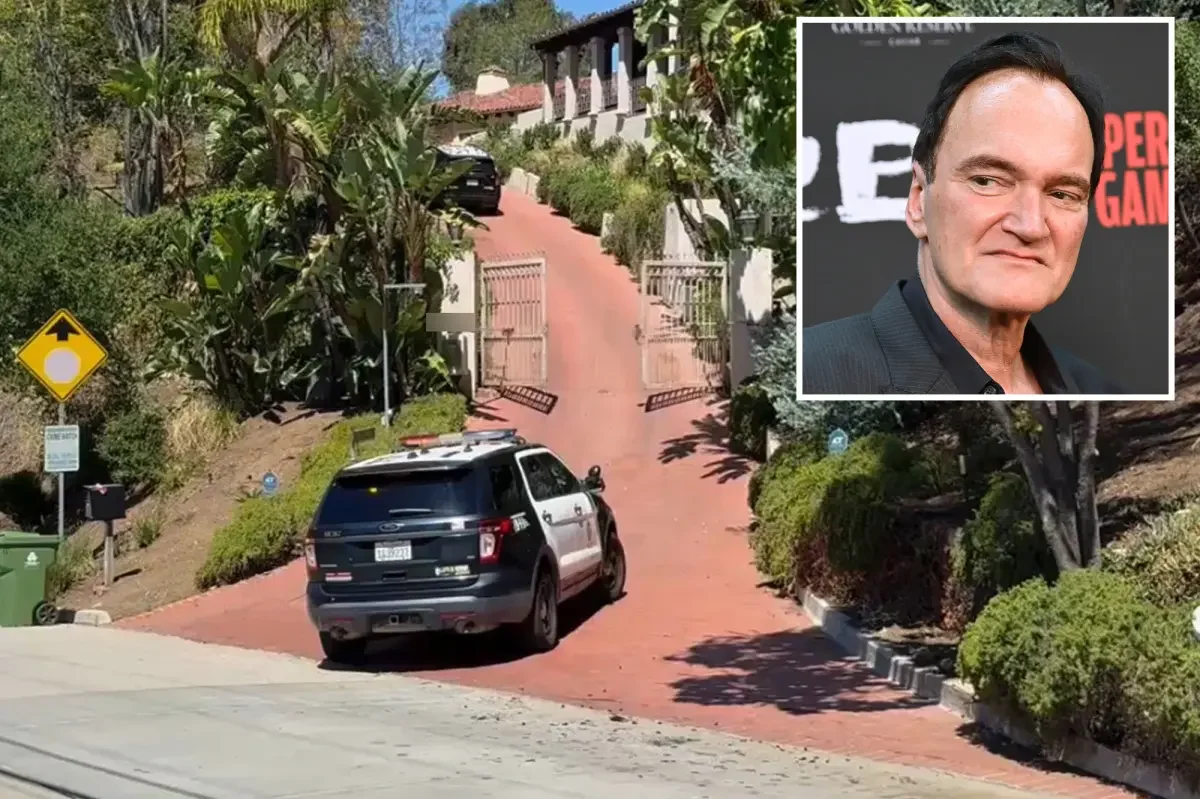 Midday Break-In Targets Tarantino-Linked Hollywood Hills Home