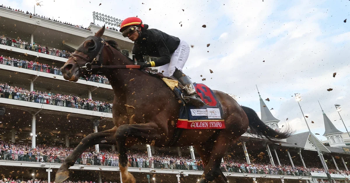 Golden Tempo Passes Preakness, Eyes Belmont After Derby Victory