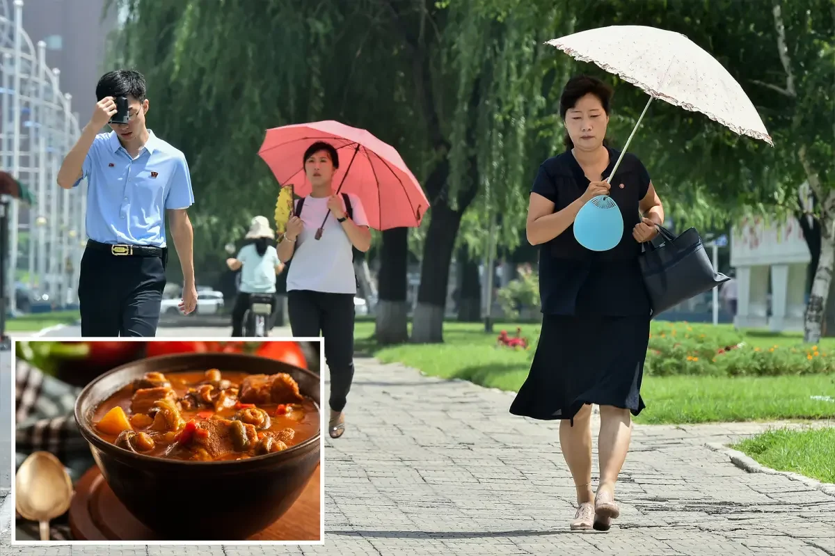 North Korea promotes dog-meat soup as summer remedy amid heatwave