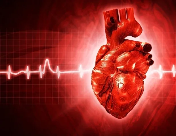 Plant-forward Diet May Shield Older Women's Heart Health