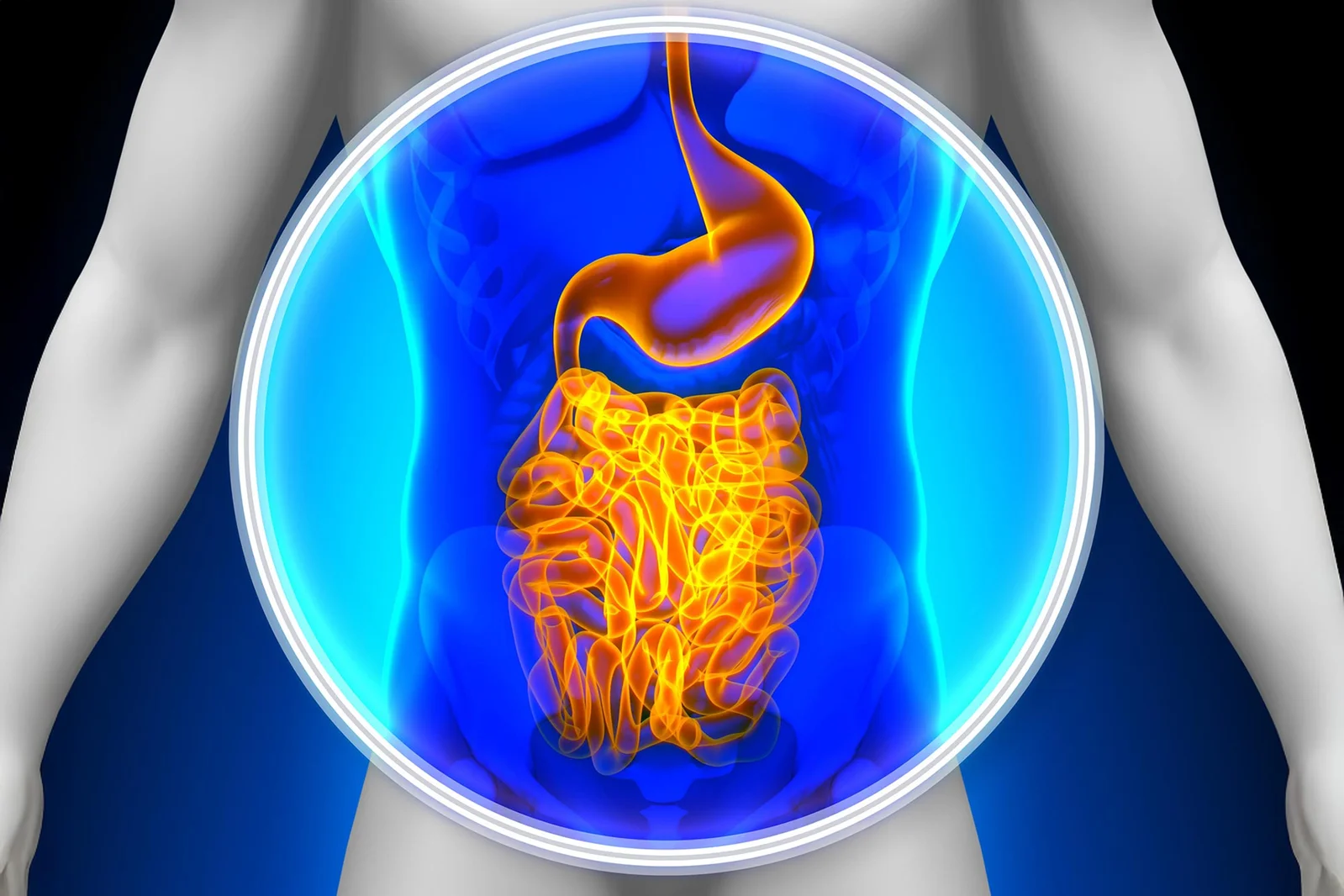 Household Interactions May Shape Your Gut Microbes, Study Finds