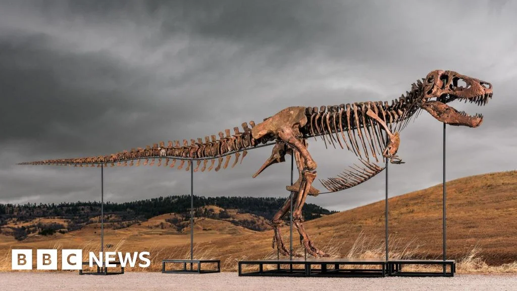 Gus the T. rex Breaks Fossil Auction Record with $50 Million Sale
