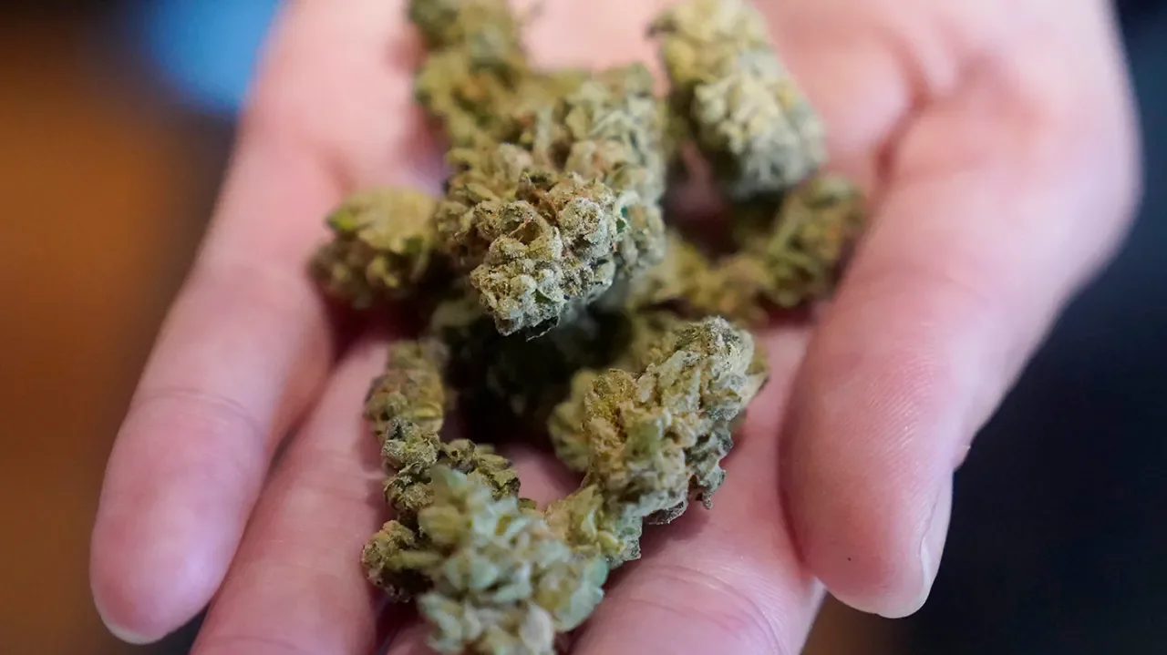 "Cannabis: A Potential Solution for Anxiety?"