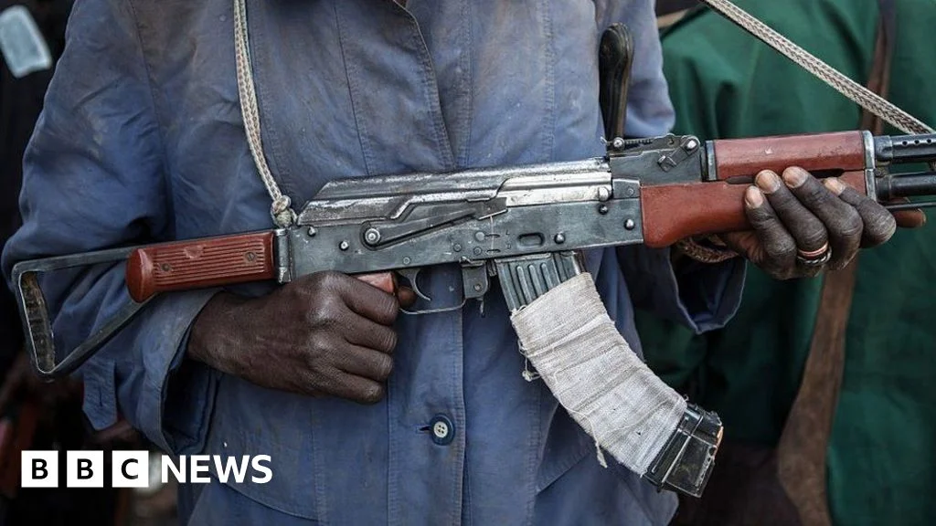 Dozens of children abducted from three Nigerian schools in Borno state