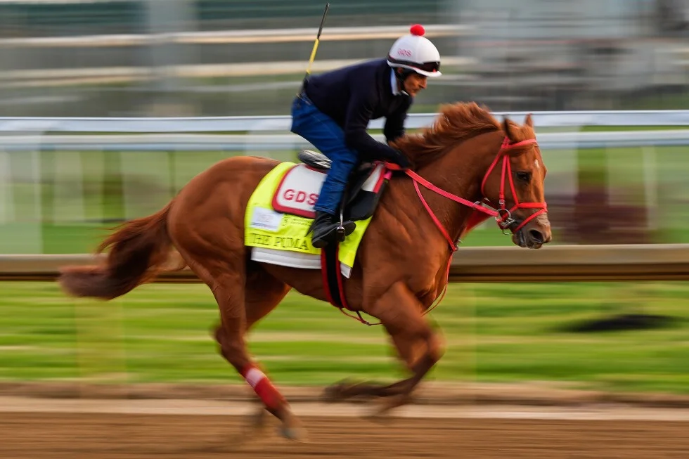 Derby field trimmed to 19 after The Puma withdrawal
