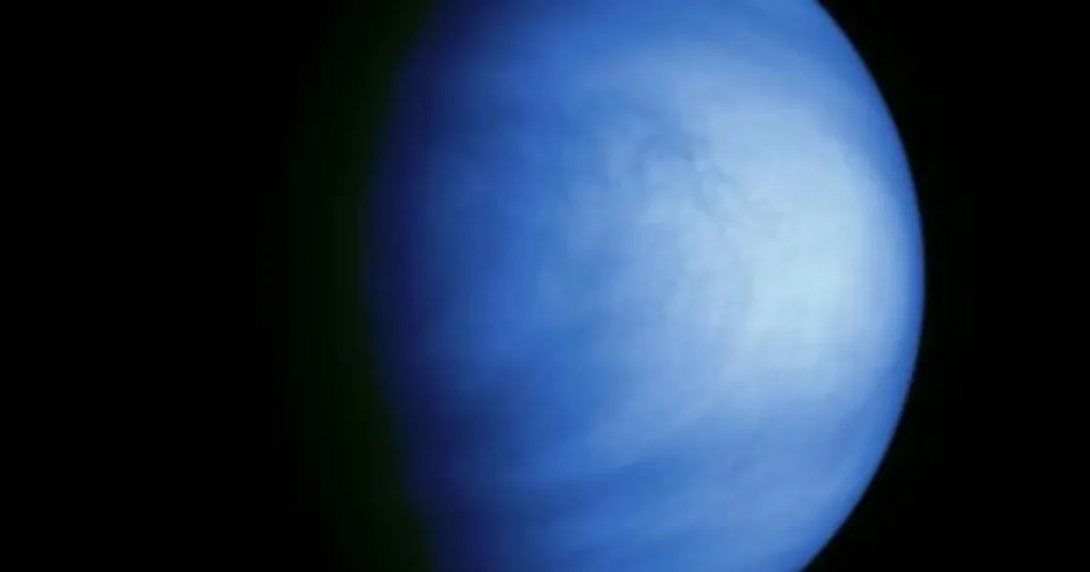 Earth microbes may seed life in Venus' clouds, study finds