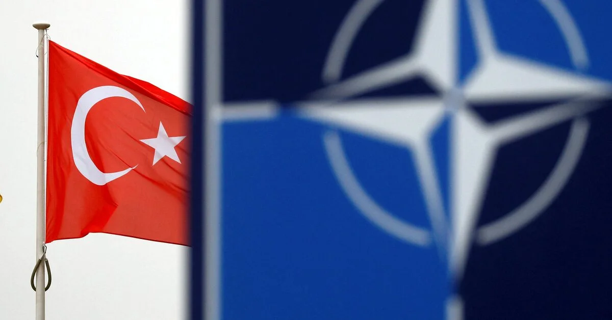 Turkey's Potential Role in Finland's NATO Membership