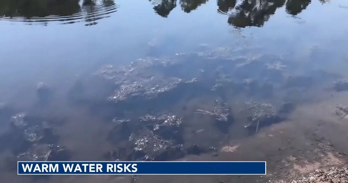 Heat-Driven Shifts in NC Waters Elevate Health Risks