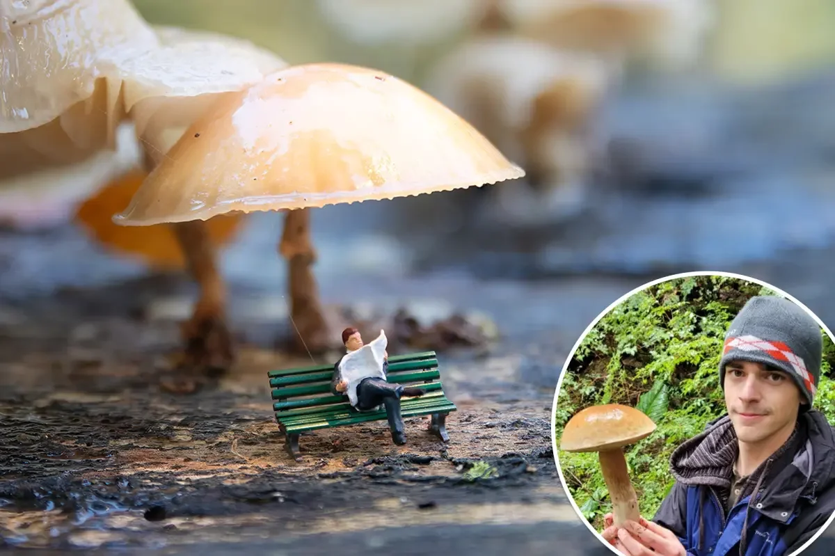 Mushroom triggers tiny-people visions, leaving scientists puzzled
