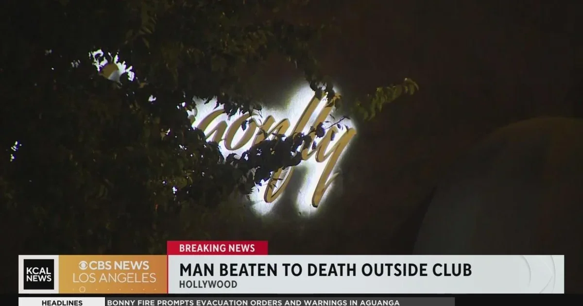 Fatal Assault: Security Guard Brutally Beaten Outside Hollywood's Dragonfly Nightclub