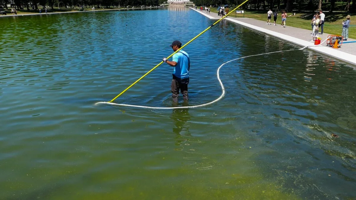 Contractor Blames Flawed Renovation for Reflecting Pool Damage