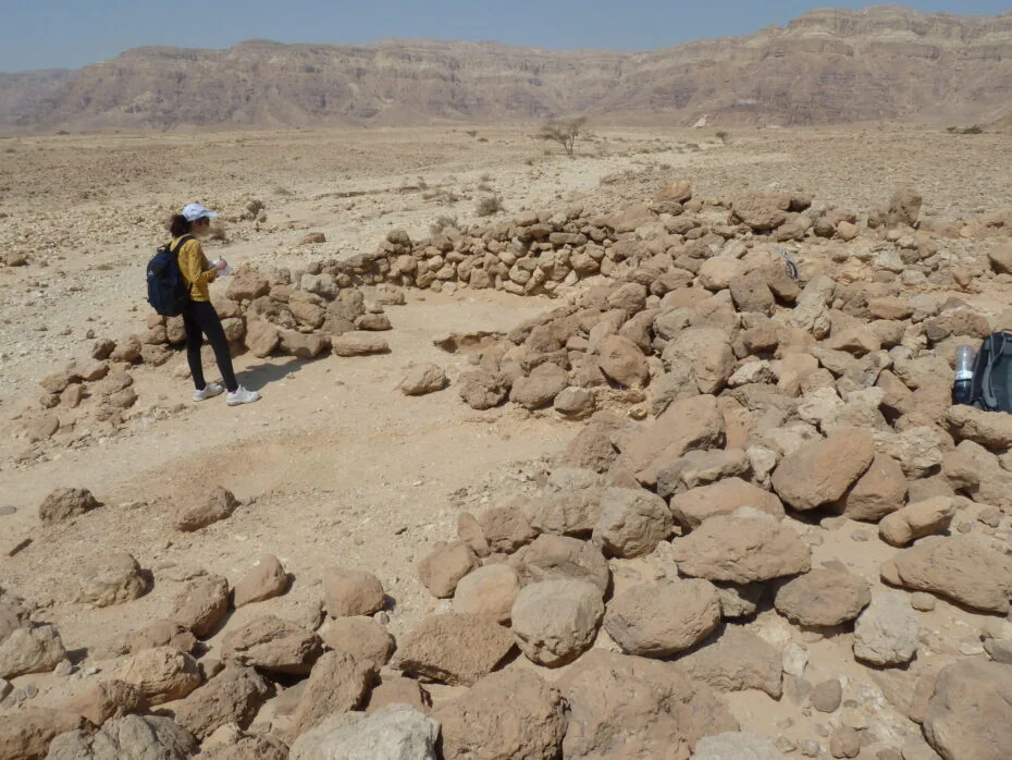 Desert Kites: 6,000 Ancient Traps Revealed from the Sky