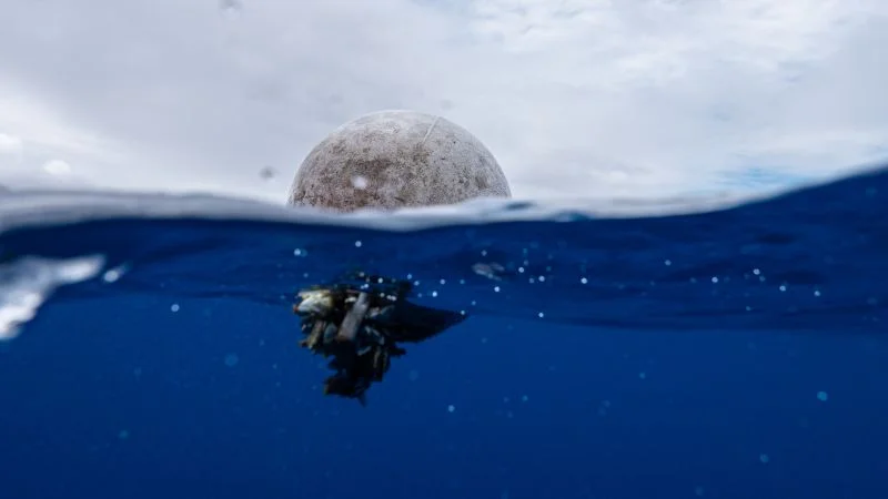 Airborne microplastics may warm the planet, new study shows