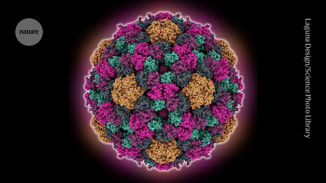 Rewriting a virus genome exposes AI’s blind spots in biology