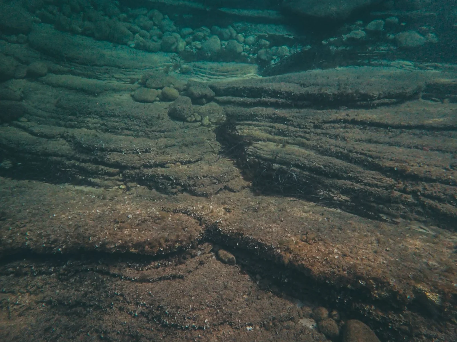 Dark Oxygen in the Deep: Pacific Seafloor Nodules Spark Scientific Debate
