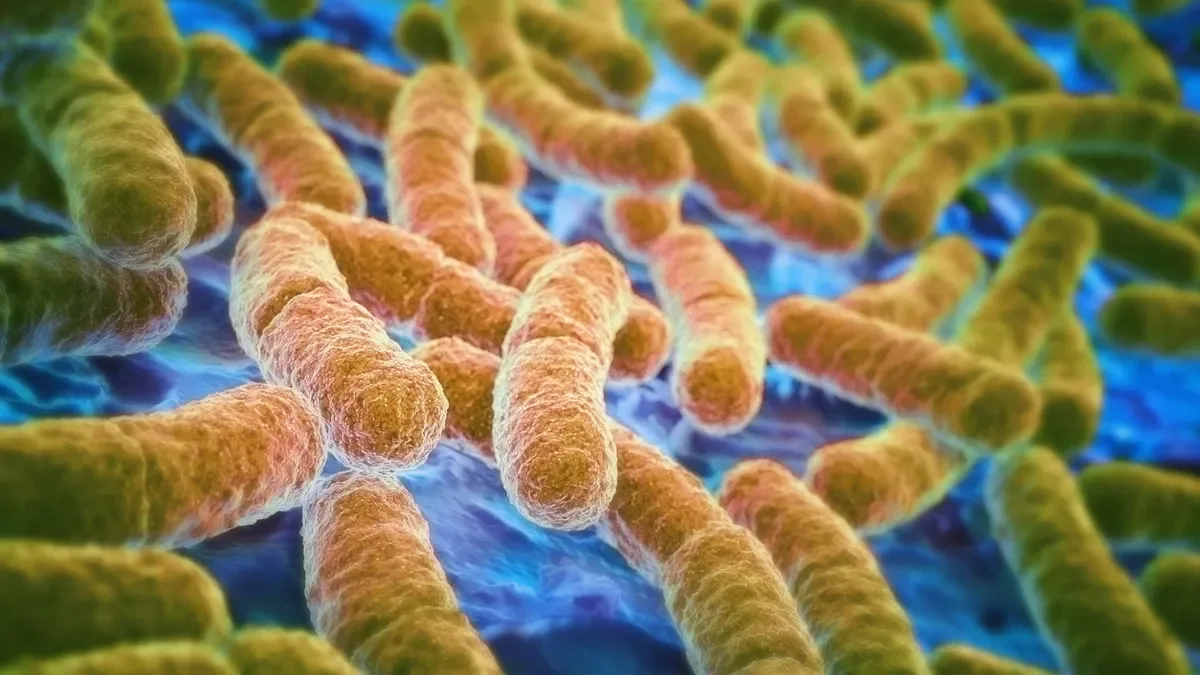 E. coli outbreak linked to The Kebab Shop beef kofta sparks California health investigation