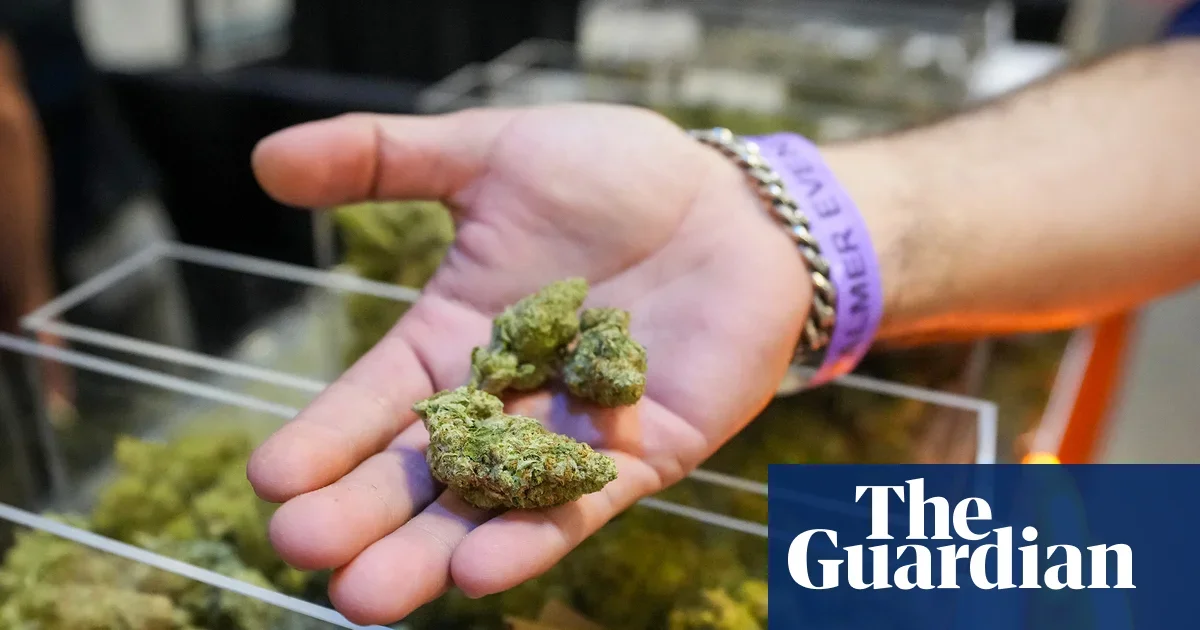 Trump Admin Reclassifies Marijuana to Schedule III to Boost Research