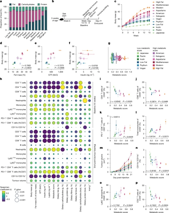 Diet–Gut Allies Amplify Cancer Immunotherapy in Obesity