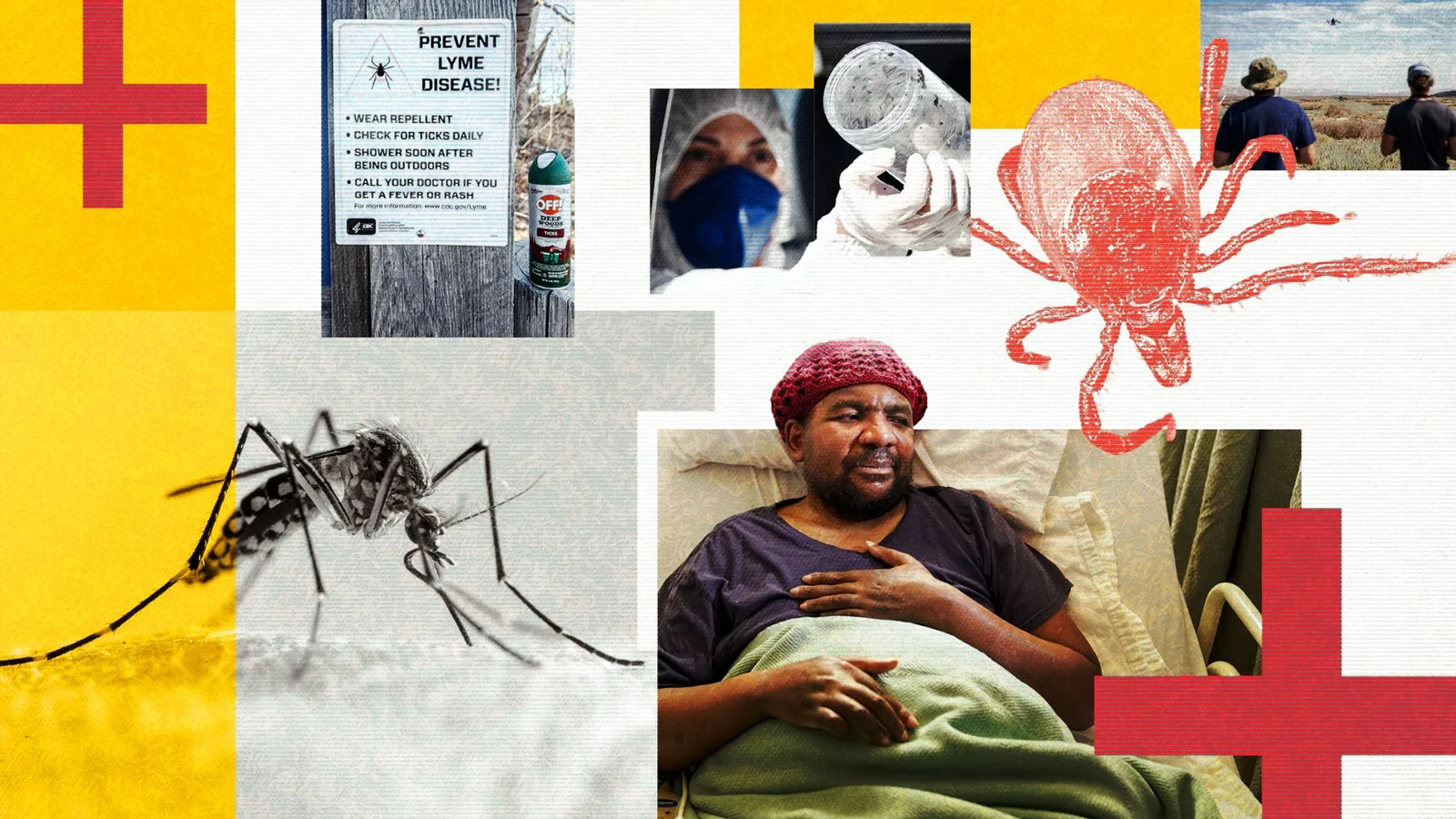 Warming World, Widespread Infections: How Climate Change Expands Disease Frontiers
