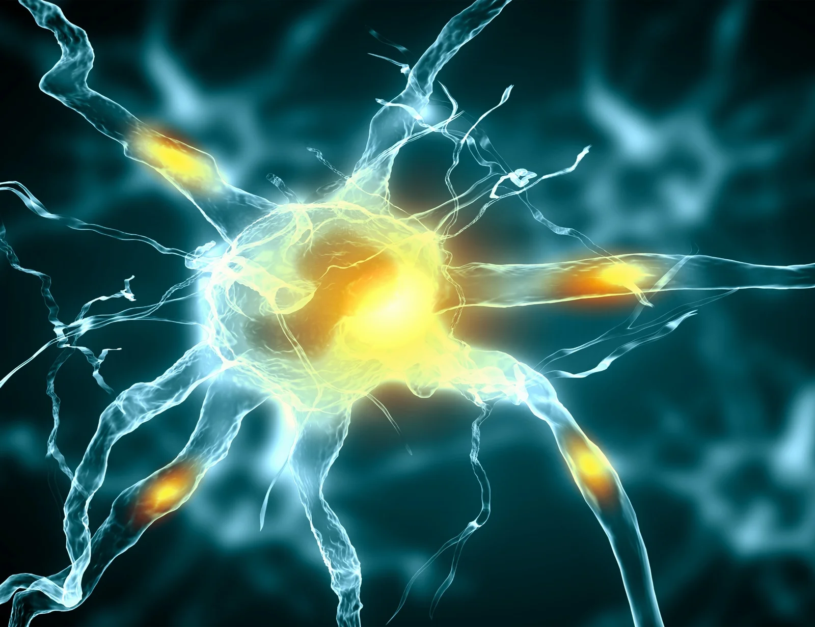 Mental imagery taps into the brain’s same perceptual code