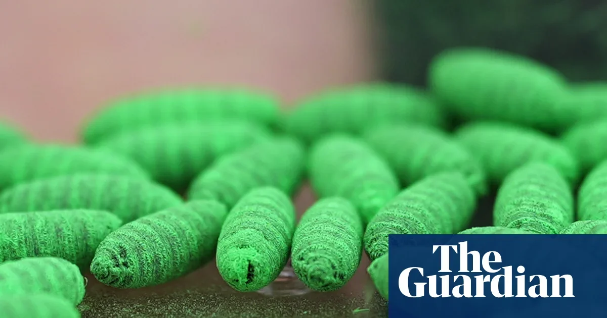 Screwworm Outbreak Expands Across Texas and New Mexico, Raising Biosecurity Alarm