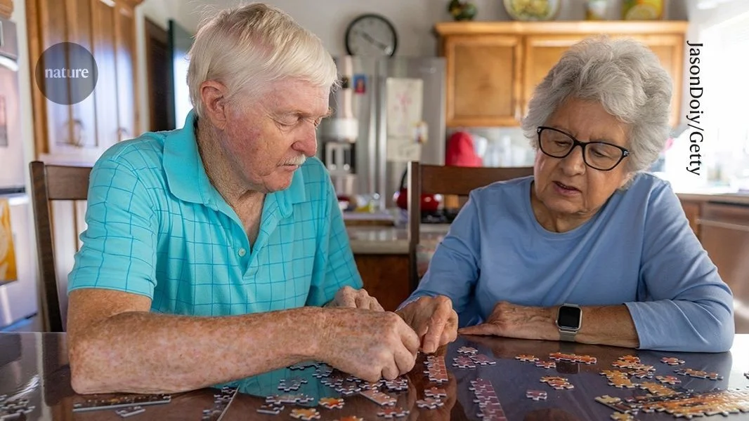 Blocking blood-borne T cells reverses age-related memory decline in mice