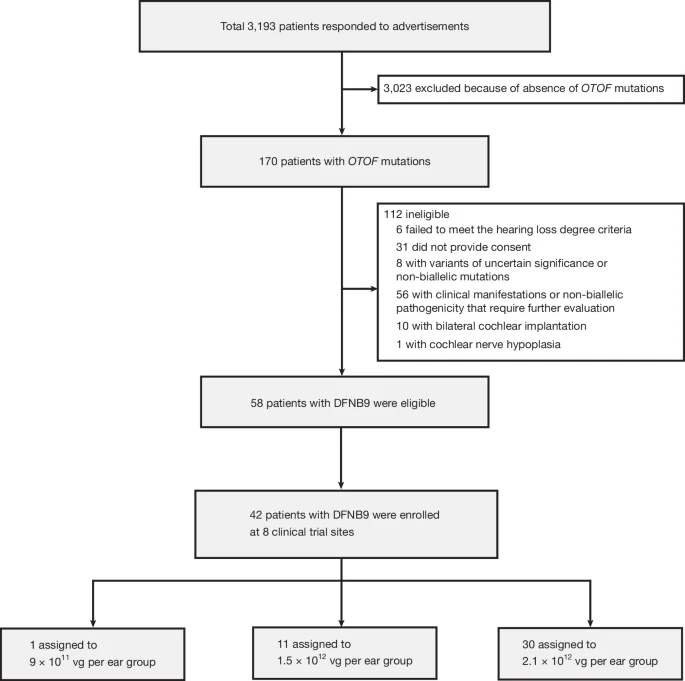 Durable hearing gains from multicenter AAV1-hOTOF gene therapy for OTOF-related deafness